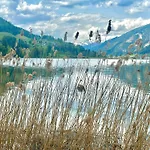 Alpenblick Apartment *