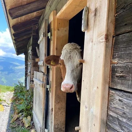 Апартаменты Alpenblick *