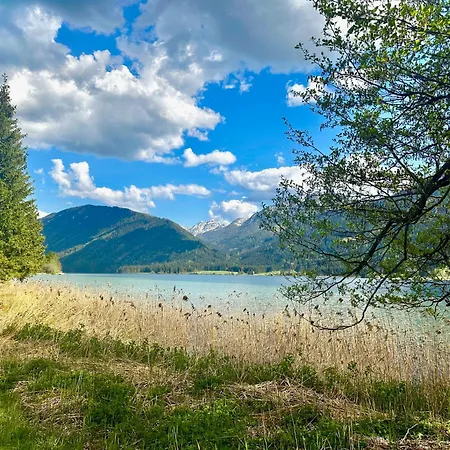 Alpenblick Апартаменты