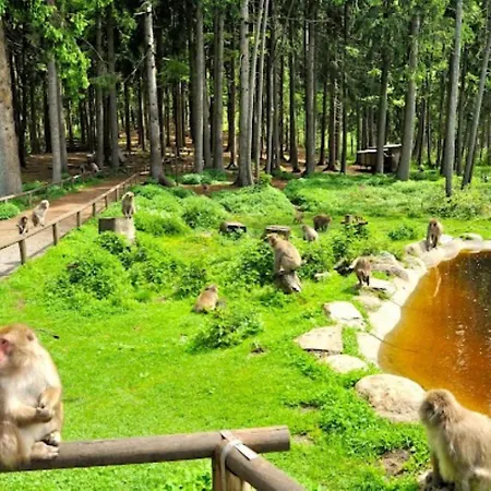 Alpenblick Апартаменты *