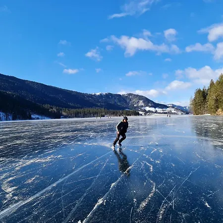 Lejlighed Alpenblick
