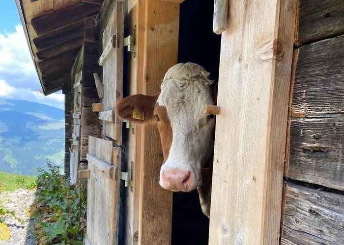 Appartamento Alpenblick *