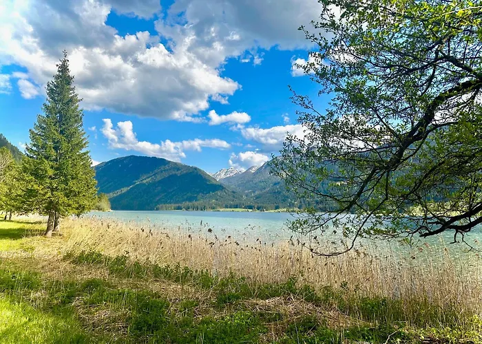 Alpenblick Lejlighed