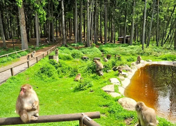 Alpenblick Apartament *